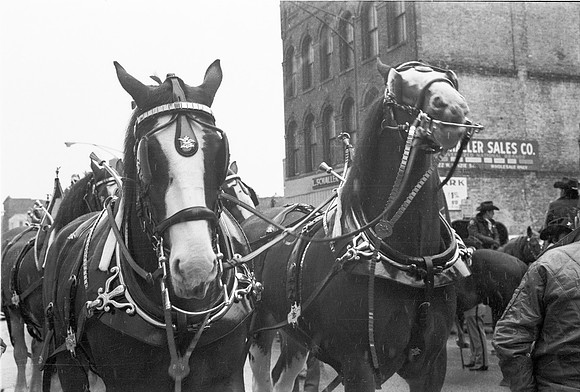 ST. PATRICKS PARADE 1980_09