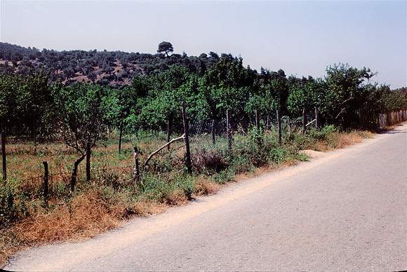 SKOPELOS COLOR SLIDE, GR 1977_06