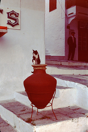 SKOPELOS COLOR SLIDE, GR 1977_20