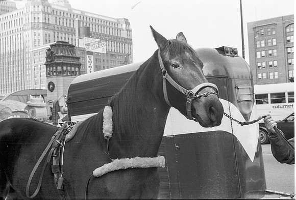 SANTA'S FANTASY PARADE 1981_39