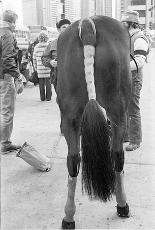 SANTA'S FANTASY PARADE 1981_40