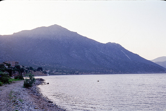 LEONIDION, POULITHRA, PELETA COLOR SLIDE, GR 1977_017