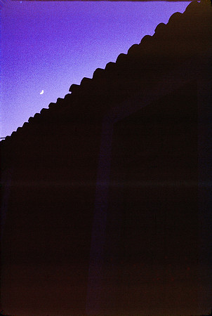 LEONIDION, POULITHRA, PELETA COLOR SLIDE, GR 1977_020