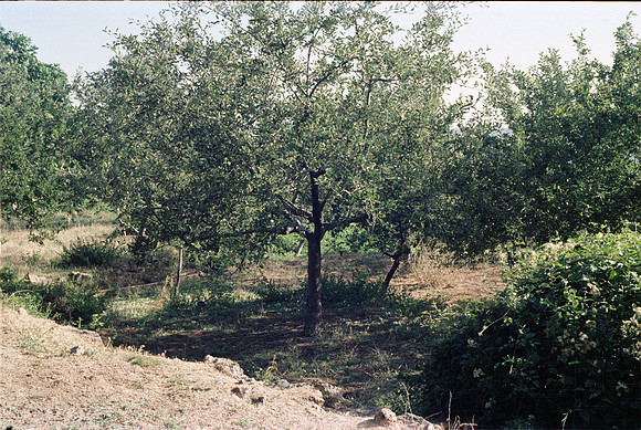 1977 KOUNOUPIA GR_23A