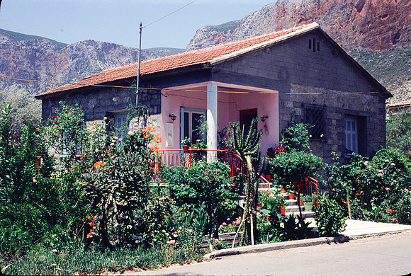 LEONIDION, POULITHRA, PELETA COLOR SLIDE, GR 1977_003