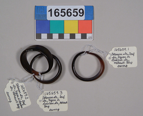Lens of Inquiry: Diane Alexander White’s 4×5 Transparencies of Field Museum Science Collections