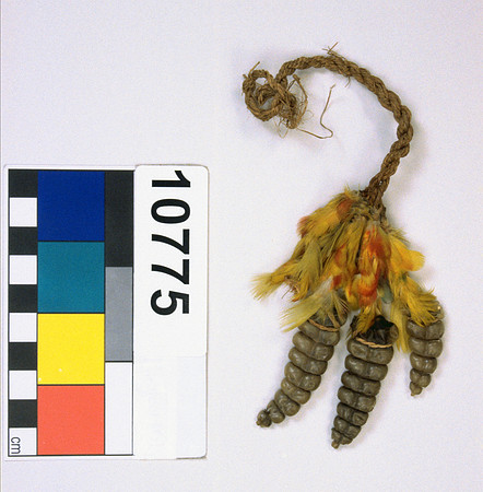 Lens of Inquiry: Diane Alexander White’s 4×5 Transparencies of Field Museum Science Collections