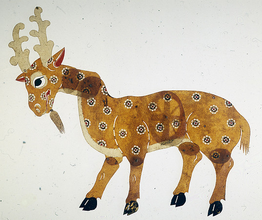 Lens of Inquiry: Diane Alexander White’s 4×5 Transparencies of Field Museum Science Collections