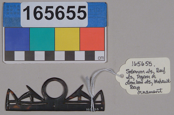 Lens of Inquiry: Diane Alexander White’s 4×5 Transparencies of Field Museum Science Collections