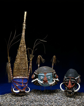 Lens of Inquiry: Diane Alexander White’s 4×5 Transparencies of Field Museum Science Collections
