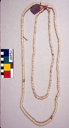Lens of Inquiry: Diane Alexander White’s 4×5 Transparencies of Field Museum Science Collections