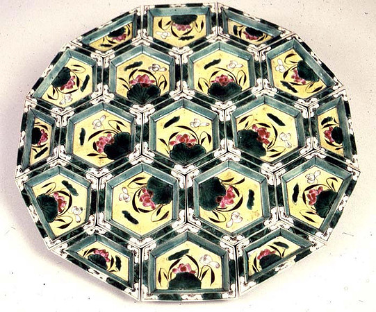 Lens of Inquiry: Diane Alexander White’s 4×5 Transparencies of Field Museum Science Collections