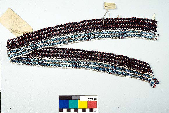 Lens of Inquiry: Diane Alexander White’s 4×5 Transparencies of Field Museum Science Collections