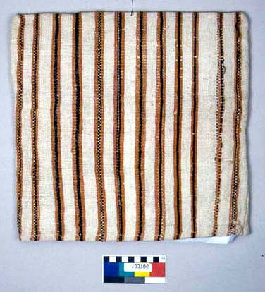 Lens of Inquiry: Diane Alexander White’s 4×5 Transparencies of Field Museum Science Collections