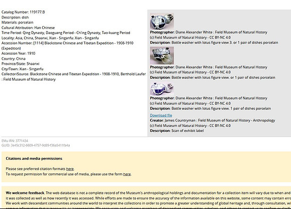 Lens of Inquiry: Diane Alexander White’s 4×5 Transparencies of Field Museum Science Collections