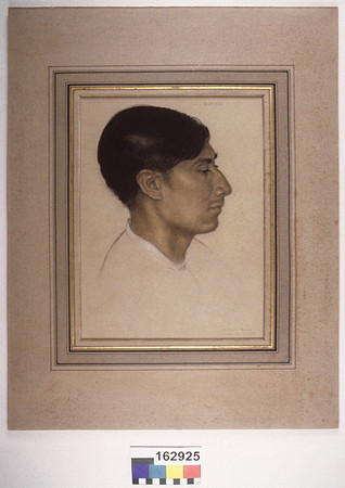 Lens of Inquiry: Diane Alexander White’s 4×5 Transparencies of Field Museum Science Collections