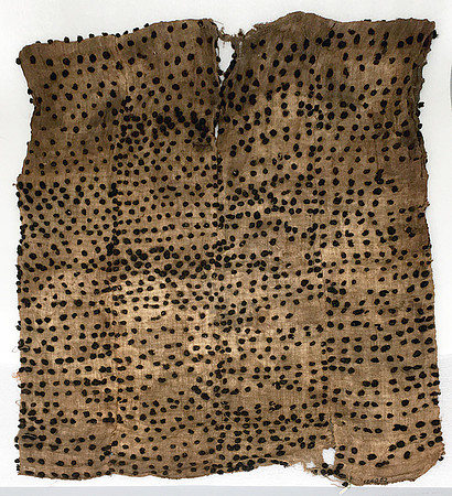Lens of Inquiry: Diane Alexander White’s 4×5 Transparencies of Field Museum Science Collections