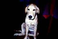 PHILADELPHIA, PA, RAGS SINGLEY 1980_05