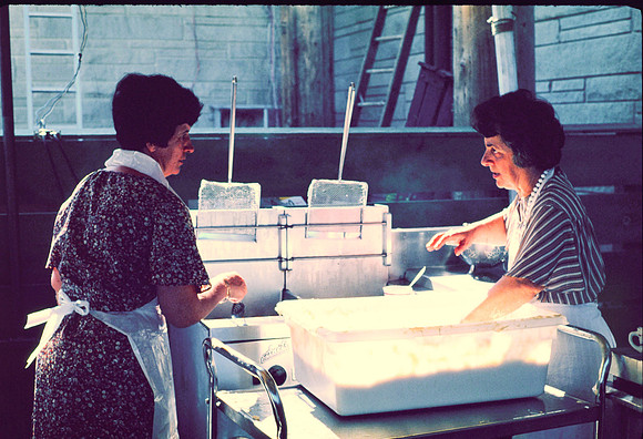 ST. ANDREW'S PICNIC 1980_03
