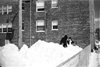 APRIL SNOW 1976 _11