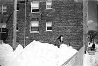 APRIL SNOW 1976 _10