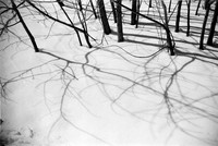 APRIL SNOW 1976 _14
