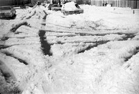 APRIL SNOW 1976 _02