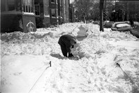APRIL SNOW 1976 _01