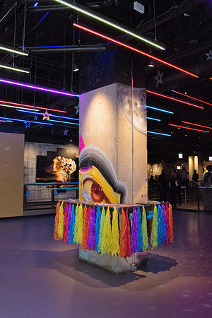 Skate Night- Over The Rainbow_031