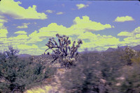 DISNEYLAND, TUCSON, MISSION SAN XAVIER DEL BAC 1978 DAW (9)