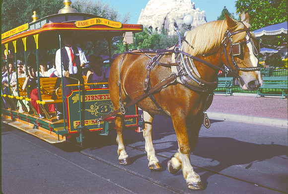 DISNEYLAND, TUCSON, MISSION SAN XAVIER DEL BAC 1978 DAW (3)