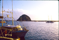 MORRO BAY VISIT 1988 DAW (6)