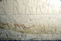 NETJER USER TOMB, FIELD MUSEUM 1999 DAW (6)