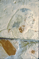 NETJER USER TOMB, FIELD MUSEUM 1999 DAW (7)