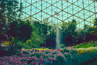 MITCHELL WI, GREAT AMERICA 1980 FLW DAW_04