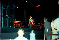 ELVIS COSTELLO, ALPINE VALLEY 1980 DAW (10 of 18)