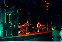 ELVIS COSTELLO, ALPINE VALLEY 1980 DAW (14 of 18)