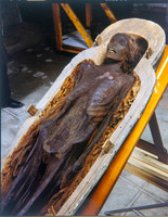 Egyptian Collection Photography at the Field Museum by Diane Alexander White