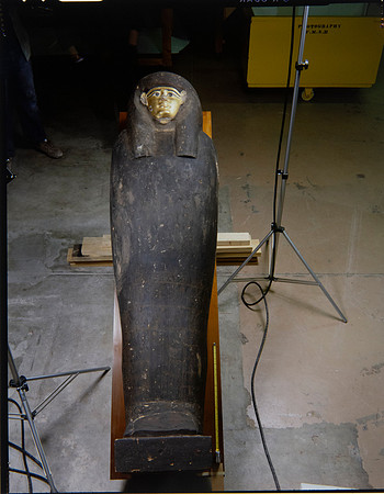Egyptian Collection Photography at the Field Museum by Diane Alexander White