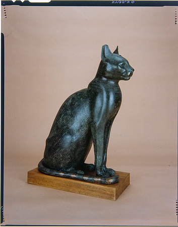 Egyptian Collection Photography at the Field Museum by Diane Alexander White