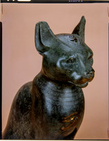Egyptian Collection Photography at the Field Museum by Diane Alexander White