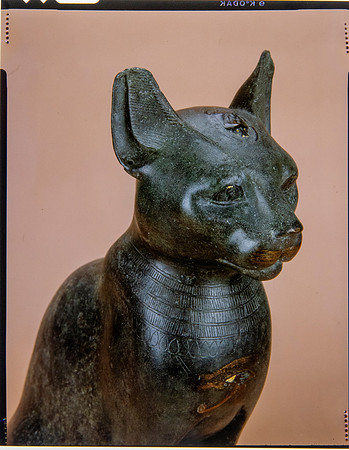 Egyptian Collection Photography at the Field Museum by Diane Alexander White