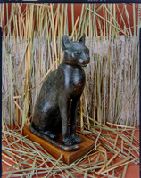 Egyptian Collection Photography at the Field Museum by Diane Alexander White