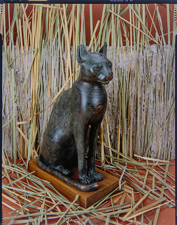 Egyptian Collection Photography at the Field Museum by Diane Alexander White