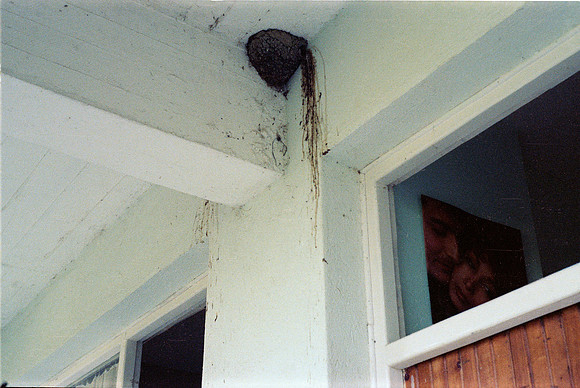 CORFU 1977 COLOR FILM_22A