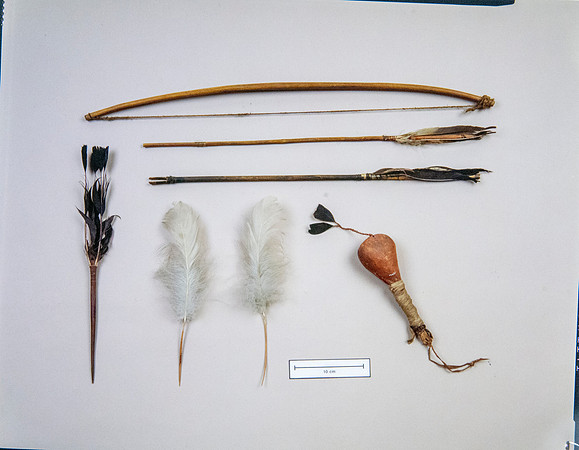 Lens of Inquiry: Diane Alexander White’s 4×5 Transparencies of Field Museum Science Collections