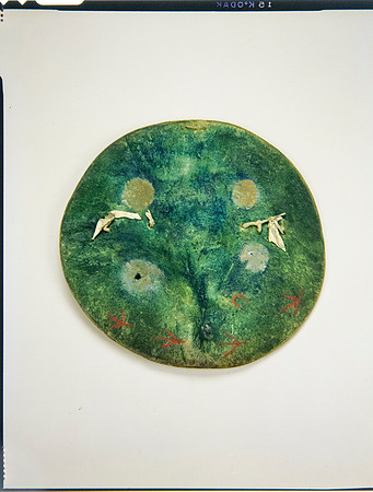 Lens of Inquiry: Diane Alexander White’s 4×5 Transparencies of Field Museum Science Collections