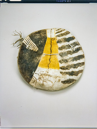Lens of Inquiry: Diane Alexander White’s 4×5 Transparencies of Field Museum Science Collections