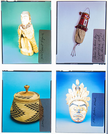 Lens of Inquiry: Diane Alexander White’s 4×5 Transparencies of Field Museum Science Collections