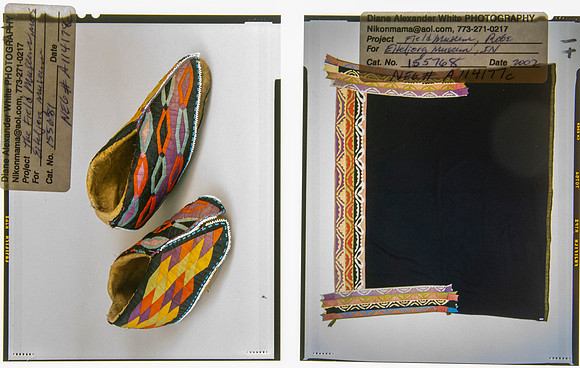 Lens of Inquiry: Diane Alexander White’s 4×5 Transparencies of Field Museum Science Collections